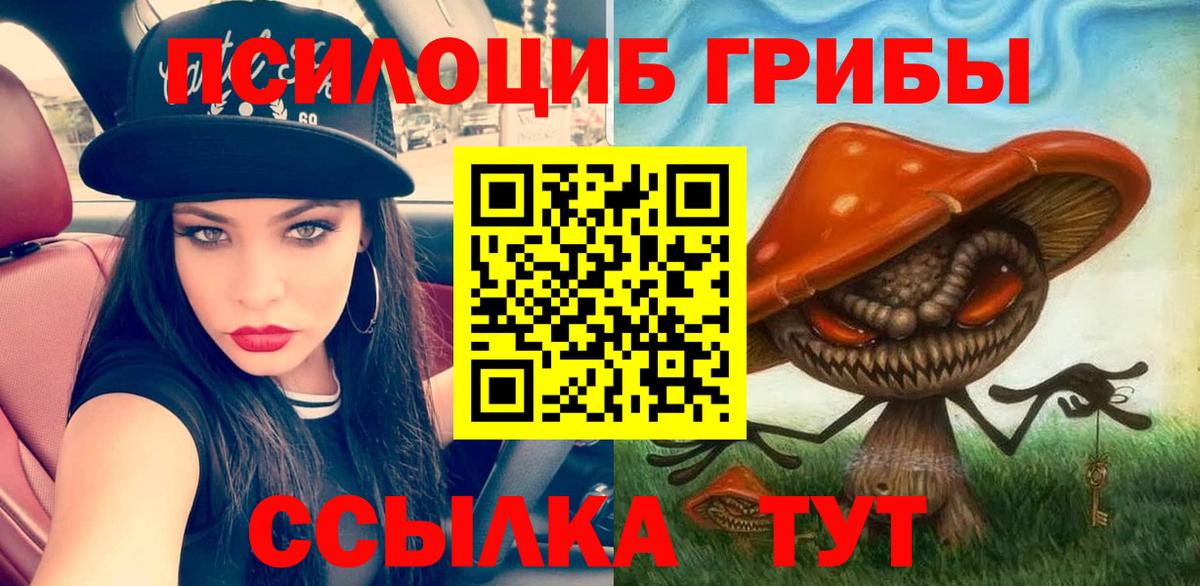 Псилоцибиновые грибы мухоморы  Вход с VPN  Партизанск  Псилоцибиновые грибы Psilocybine cubensis 