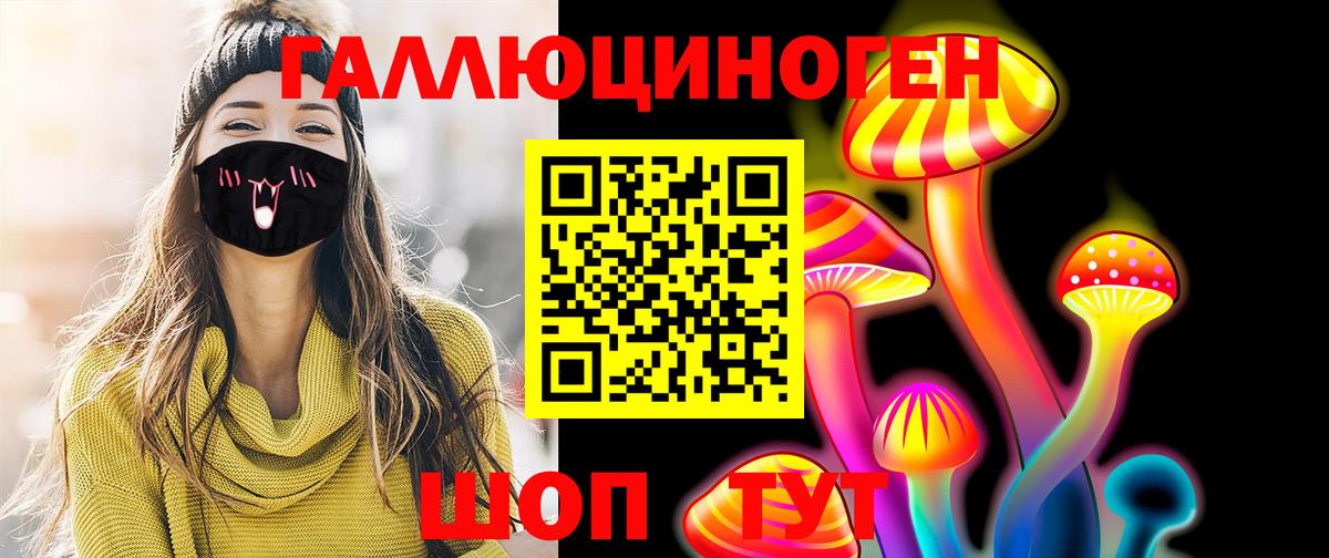 Псилоцибиновые грибы Psilocybe Партизанск